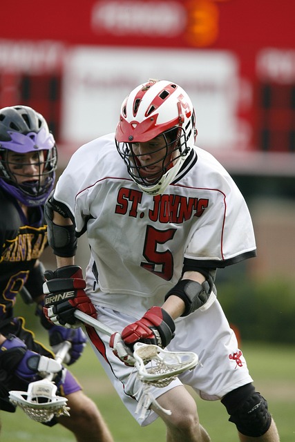 的王朝梦 的王朝梦