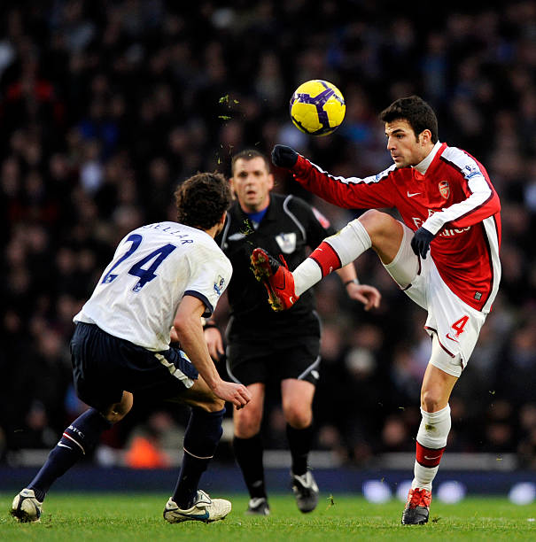 这一决定无 这一决定无